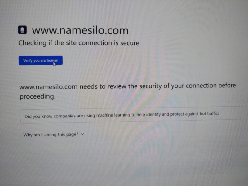 2022-10-27请教个小白问题，想namesilo买个域名，但网站一直在显示检测连接安全，是怎么回事呢？-极客跨境