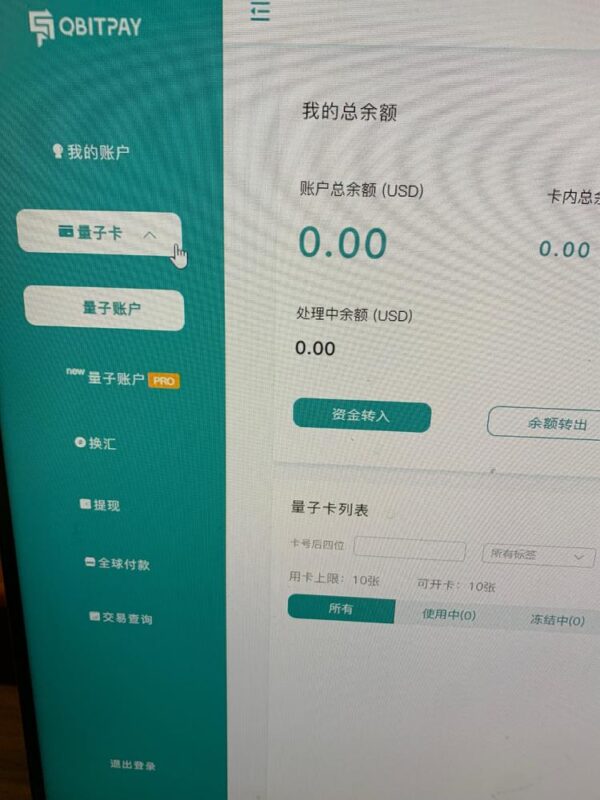 2021-02-02 有没有人使用这个虚拟卡的啊？你们的充值都是问你解决的啊？-极客跨境