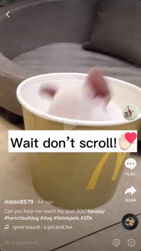 2020-06-12爆款内容的思维-极客跨境