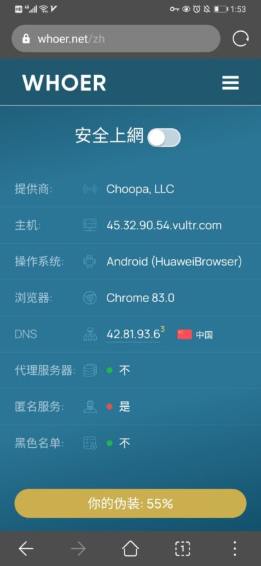 2021-01-23自己搭建梯子，显示dns中国，要在手机哪里改DNS?-极客跨境