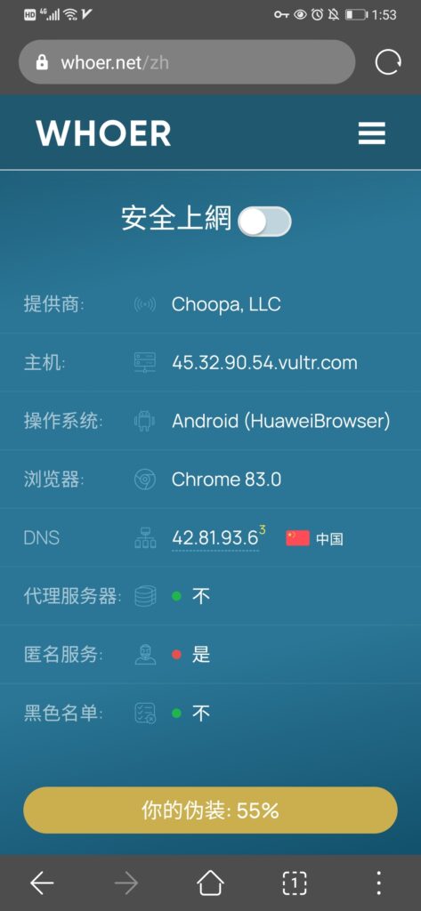 2021-01-23自己搭建梯子，显示dns中国，要在手机哪里改DNS?-其他论坛-极客跨境