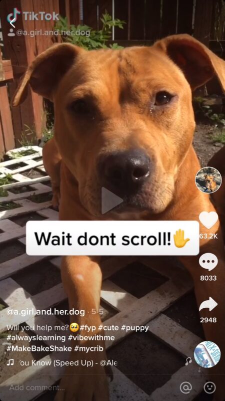 2020-06-12爆款内容的思维-极客跨境