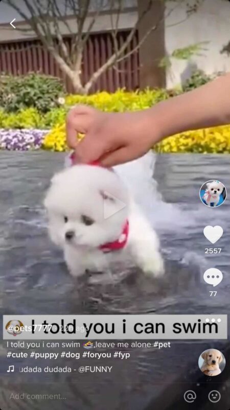 2020-06-19 突破十万粉丝的复盘和思考，希望没上岸的同学们可以用起来-极客跨境