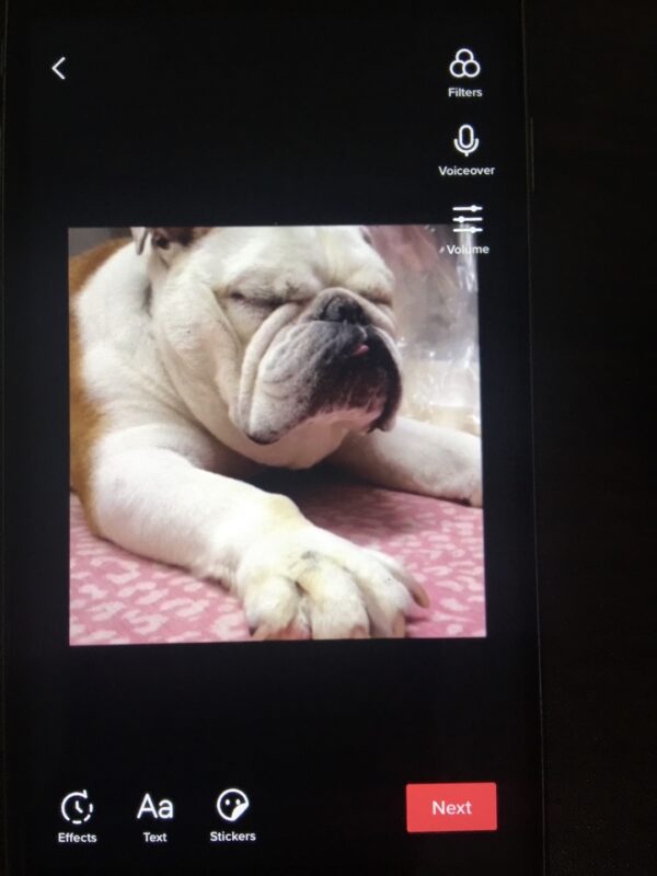 分享一个视频合拍的玩法，喜欢的可以试试。 这个方法也是之前玩国内抖音，一些工作室的做法。 主要采用的是视频合拍加入放大镜效果，特效在投票贴纸旁边。具体操作的话也非常简单，就是先和被合拍者进行合拍，注意的是合拍过程必须保证镜头全黑，然后点击拍摄按钮，等待拍摄完成，然后利用这个放大镜效果进行放大，将画面放到正中间就可以进行发布了。只不过不是满屏，四周会有黑边，但也算是个去重的方法。之前测试过，同样有播放量。 具体操作看下图-极客跨境