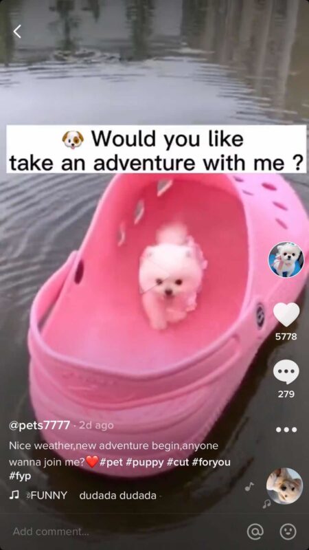 2020-06-19 突破十万粉丝的复盘和思考，希望没上岸的同学们可以用起来-极客跨境