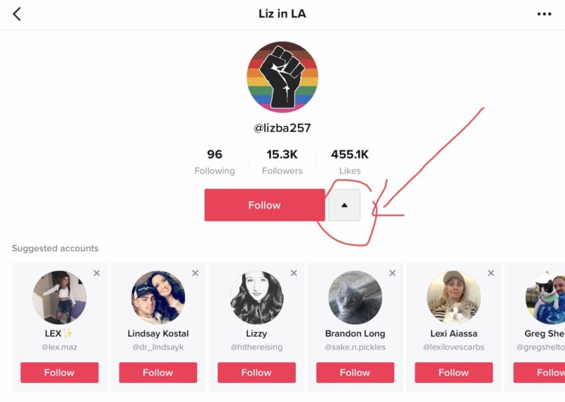 2020-06-09    9天作废1个号救活1个号做活一个号粉丝终于破千的实操性思考(1)-极客跨境