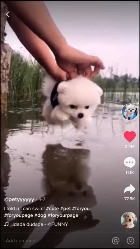 2020-06-19 突破十万粉丝的复盘和思考，希望没上岸的同学们可以用起来-极客跨境