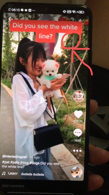 2020-06-12因一根白线引发的1300万的爆文导致限流 【粉丝基础】 80多万的宠物账号（可能爆这个文，也是有粉丝的因素，所以勿喷） 【视频内容】 宠物狗飞上天（茶杯犬，其实可能别的狗也会爆） 这种视频我发之前其实很多人都在发，我之前也发过 Tip：其实我感觉爆文源于一根线（见图二） 【爆文过程】 10个小时不到（因为隔了10个小时看，才发现，可能还不是10个小时）爆文一千三百万流量被搞限流。 【个人观点，大牛勿喷】 个人感觉还是这跟白线是个导火索，然后字幕引导外国朋友找白线，那么白线讲真不太好找，我也是看了三遍视频才找到。 所以大家在视频的时候，一定要有一些东西可以引起外国人的兴趣。 比如找这个白线来说 1.完播率会比较高 因为毕竟我也得看三遍找到。 2.评论率会比较高 因为可能找不到的朋友，会去翻评论看看白线到底在哪里，还会评论问在哪里；已经找到的也可能会去翻评论看看是否跟别人找到的是否一样等等结果。 还有等等自己可以揣摩，因为我文字表达能力不太好。 小白在这里建议在航海的朋友，因为可能你们操作的号不多，尽量搬运比较有讨论度有内涵的视频。这种视频可能随时会爆发。 还有就是现在宠物搬运的都比较多，大部分都搬烂了，我建议可以搬运一点有中文字幕，有中文配音的，然后时候改的好视频，花点时间把这种视频的字幕，音频都改掉。意思与原相近即可，还可以去重复（因为这种视频没人搬） 单号一定要做精，毕竟现在纯搬运没点粉丝的号也没以前好做。 多刷一刷tiktok发现不一样的视频类型，肯定会有很多意外惊喜。 坐等解除限流中....（话说多发视频就能解除？） 很多也都是嘉伟哥分享过的东西，老生常谈了，大家一定要实操起来。 如果还是实在不爆文，在可能不会重复的情况下，拿同领域不同类型的视频，进行测试。当然在宠物类，比如电梯送狗，抢狗，狗飞，买狗，西瓜里装狗的，卖狗的，转盘转狗等等类型视频。都可以，里面都有共同点，剧情，有剧情很重要。-极客跨境