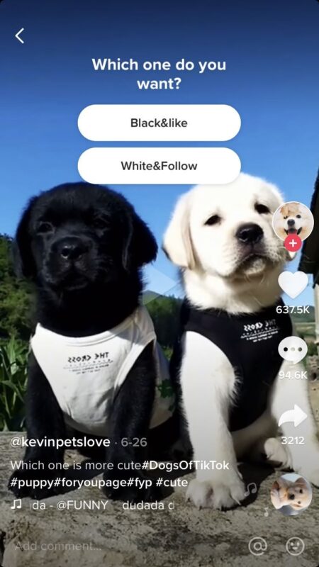 2020-09-18 Tiktok基础运营技巧 1、选品 在任何的内容平台上，内容为王是一条真理。做内容的就是选品，好物带货账号好的选品决定了转化率。选对好的类目方向，也决定了大家账号的涨粉速度。例如第一期的手工号、第二期的宠物号、第三期的美女号等等。看这篇文章新人如何快速起号、tiktok推荐算法的逻辑、20个视频类目，分享概述得很好2、账号设置 创建完账号第一件事情就是去个人中心里面，Manage account-Switch to Pro Account.开通analysis数据分析功能，可以进行账号分析，用户分布分析，用户活跃时间，最近喜欢看的视频和音乐等等。 个人资料 所有的平台都会有自己的算法来应对营销号的策略，平台会针对优质的内容创作者提供流量倾斜，这就是我们的账号权重。因此我们需要在TK里面伪装成一位优质的内容创作者，模拟真实的用户操作，观看视频，点赞评论，分享等等（这就是养号的过程）。 完善自己的ID账号信息，主要不要填一些品牌名称的账号。一个好看的头像可以吸引别人关注的欲望（这也是为什么美女号涨粉快的原因，看头像就想要关注和看主页的其他视频）。Bio可以描述一下，给自己的账号人设设置一个定位。 website在1000粉丝的时候可以挂链接（据说最近的TK跟甲骨文的业务交接问题，有部分人1000甚至1W粉丝也没有链接开放）。商业账号0粉丝的时候就可以挂链接，但是音乐版权方面会少很多 3、文案&音乐 每次卡在文案里面，不知道写什么？简单的做法就是找头部的账号视频，把他们的文案抄下来，弄成一个文档。根据不同的应用场景把文案放上去，平时多积累，做到先抄后抄。（第二期的时候做宠物号，卖惨号都会参考@booanditsythejrs的账号文案） 文案对于其他英文不好，或者是做其他小语种语言的小伙伴有点难度。这里再次推荐一下翻译神器 https://www.deepl.com/zh/translator 无需梯子，翻译细节，准确度和流畅度都非常高。 音乐有热门的榜单可以从里面挑选，还有平时多刷TK遇到爆款的音乐记得点击收藏，保持良好的习惯。好的爆款音乐也是一种引流技巧，例如之前大火的黑人抬棺。也可以根据账号分析里面用户喜好的音乐。 在确定了账号定位风格后，大多数情况使用的音乐都是常用反复使用，可以给到别人一种品牌效应的感觉。例如抖音的贫穷烧烤，只要一听这个音乐基本就知道是这个博主的视频。 4、爆款视频一般几个点，情感引起共鸣，形式创新，热点反差。最后再安利一下我分享给三期学员@瘦肉丸3天0-3万粉的Poll投票技巧。投票是开放性的内容，大家可以脑洞大开引发用户讨论，关注等等。同样也可以引论进去一些热门话题，引起争议。-极客跨境