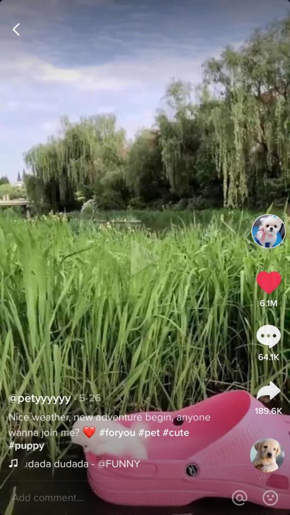 2020-06-19 突破十万粉丝的复盘和思考，希望没上岸的同学们可以用起来-Tiktok论坛-极客跨境