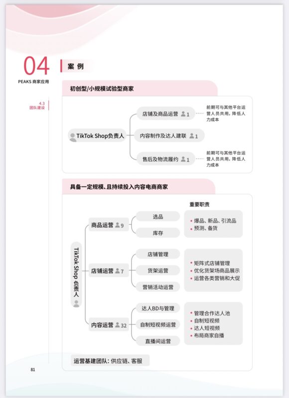 TikTok 电商团队架构-极客跨境