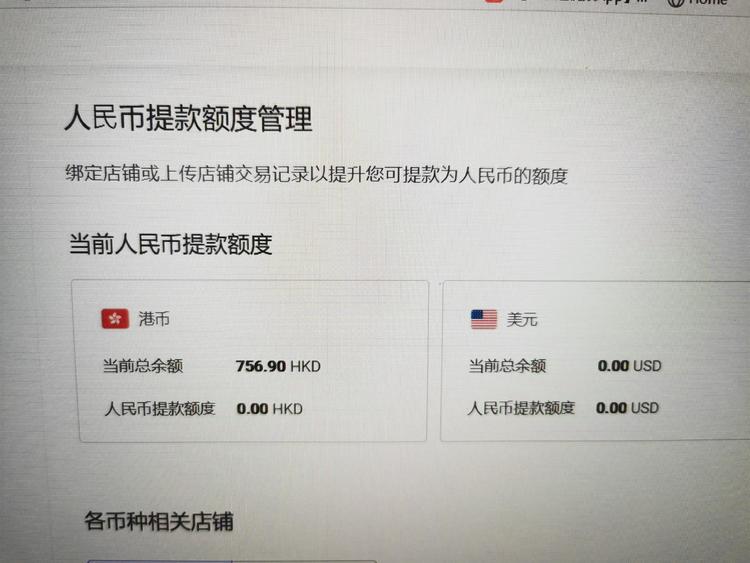 2021/6/23万里汇没有人民币额度 是哪里操作错了吗？求救大佬-支付收款论坛-极客跨境