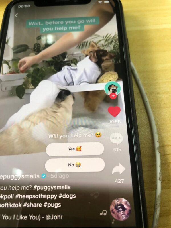 2020-06-11求教有大佬知道这个投票的是怎么操作的吗-极客跨境