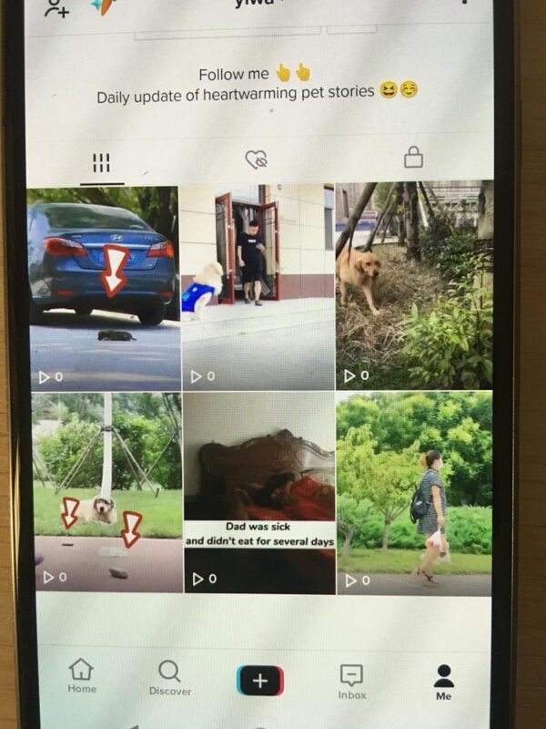 2021-07-14 这个手机做做了4个号总是零播放，（刷机后注册上传0播放，又刷机重新注册上传0播放）怎么破？-极客跨境