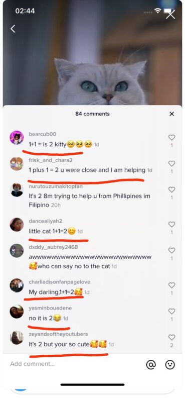 2020-10-21一个月涨粉40万经验分享-极客跨境