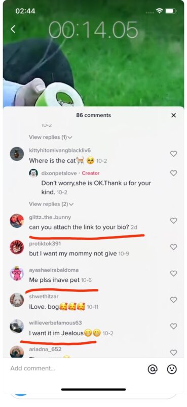 2020-10-21一个月涨粉40万经验分享-极客跨境