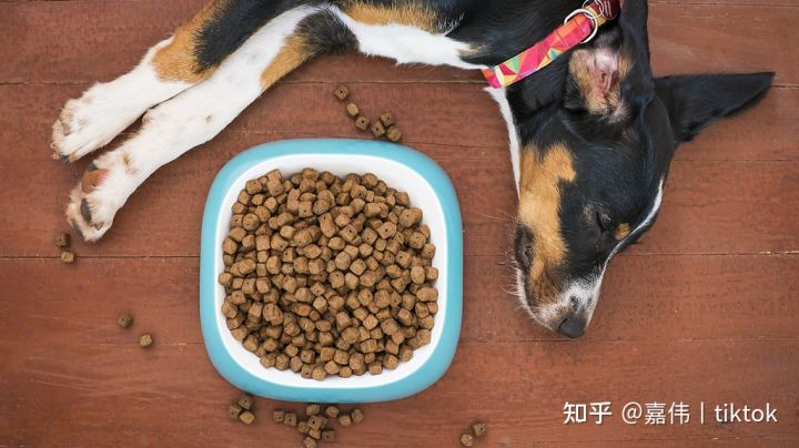 2022-06-09【Shopify 超全选品攻略】-shopify论坛-极客跨境