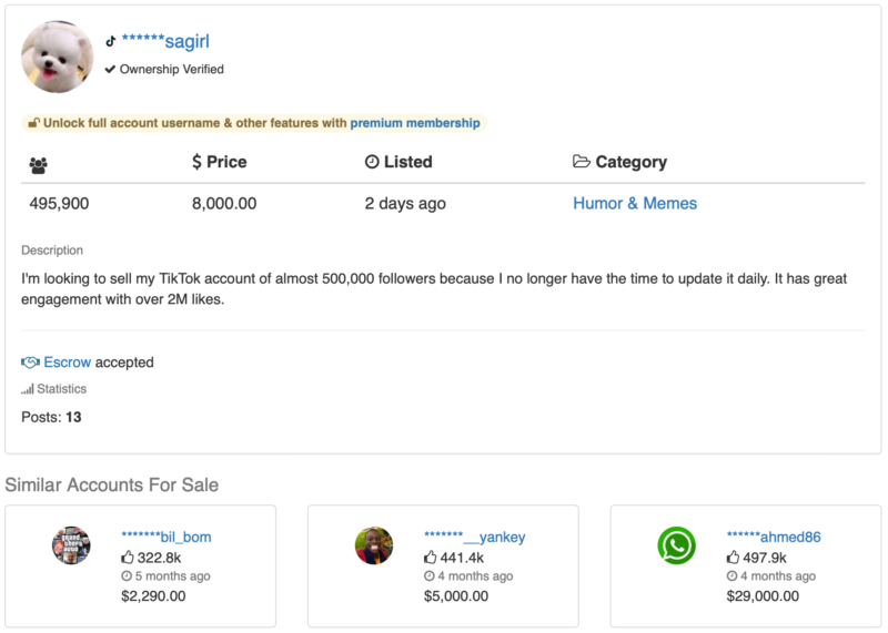 2020-08-17   500K粉tt账号变现被骗记录，小伙伴当心-极客跨境